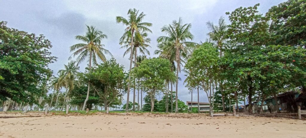 Prime Seaside Land for Sale