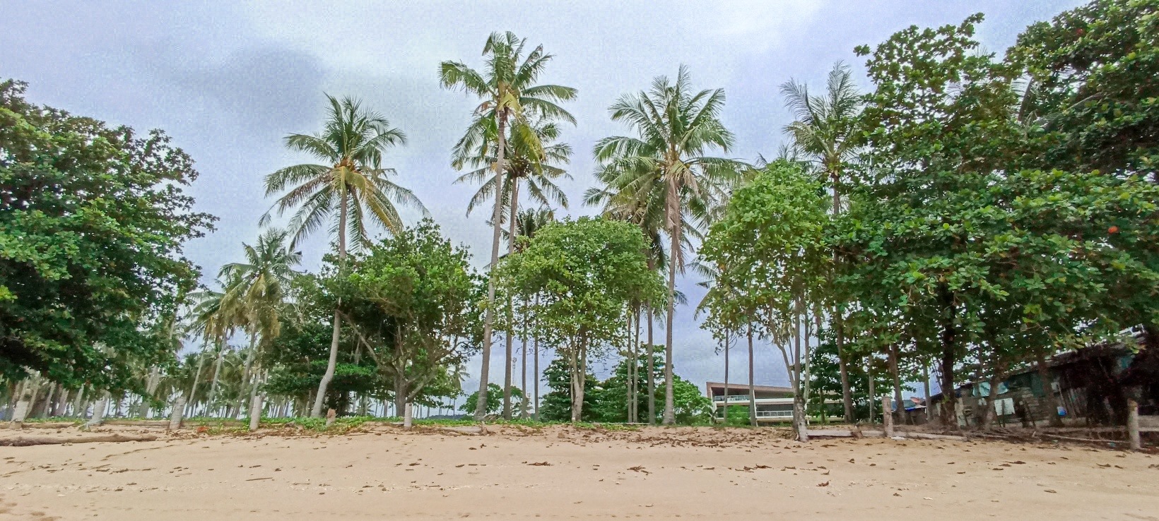 Prime Seaside Land for Sale 