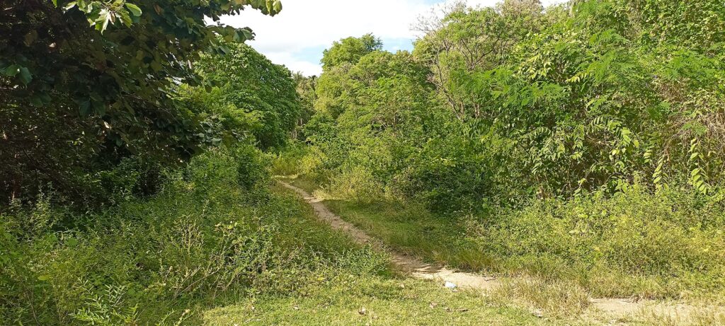 Exceptional Land for Sale Krabi Freehold