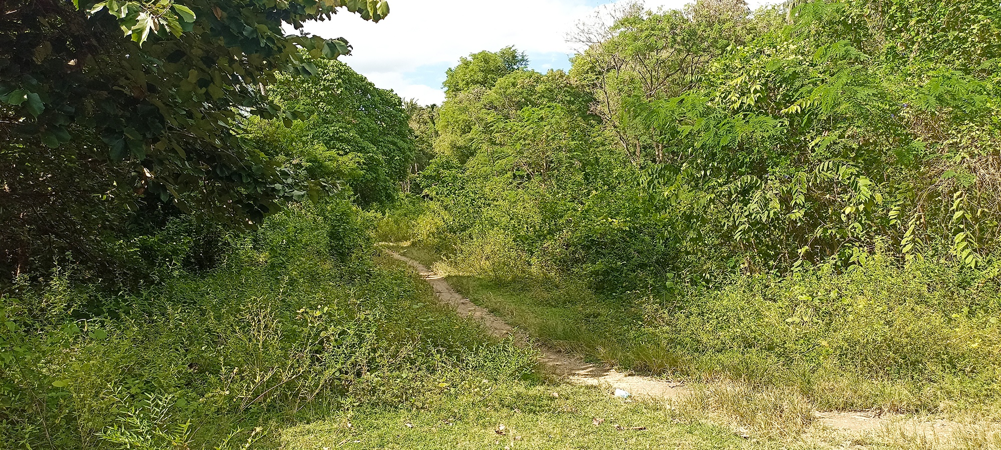 Exceptional Land for Sale Krabi Freehold