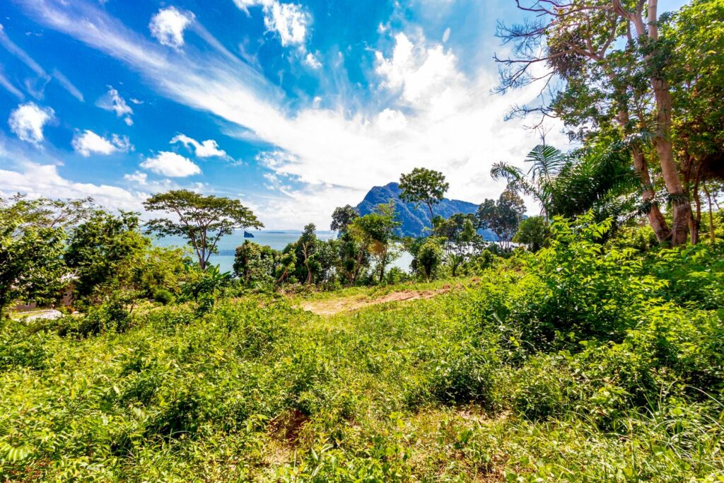 Seaview Hilltop Land for Sale in Koh Lanta