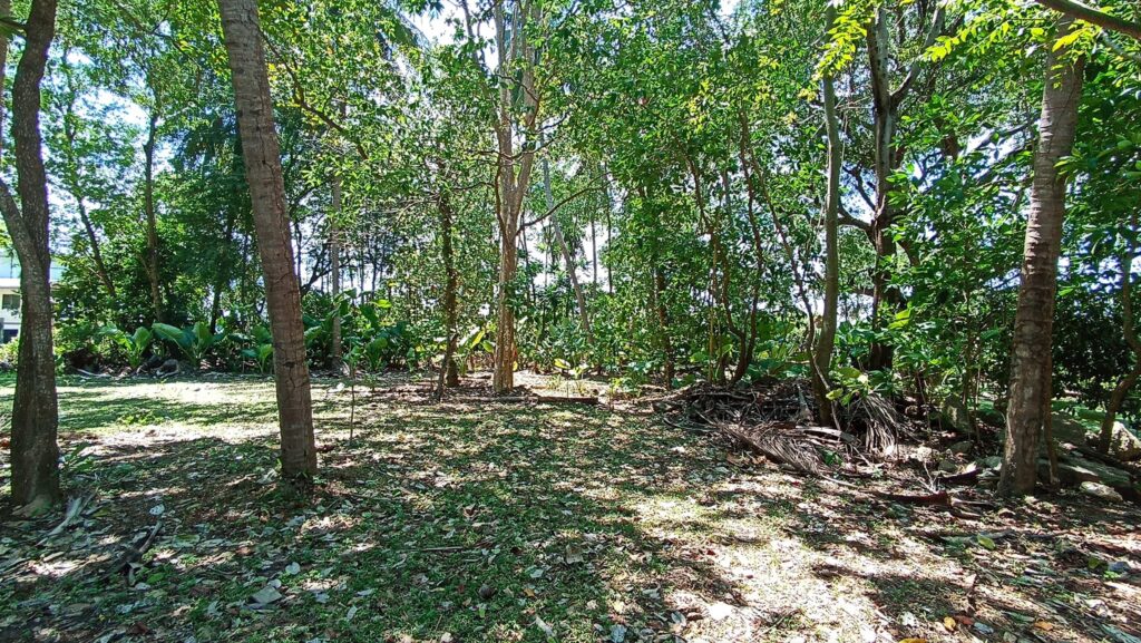 Beachside Land for Sale in Koh Lanta