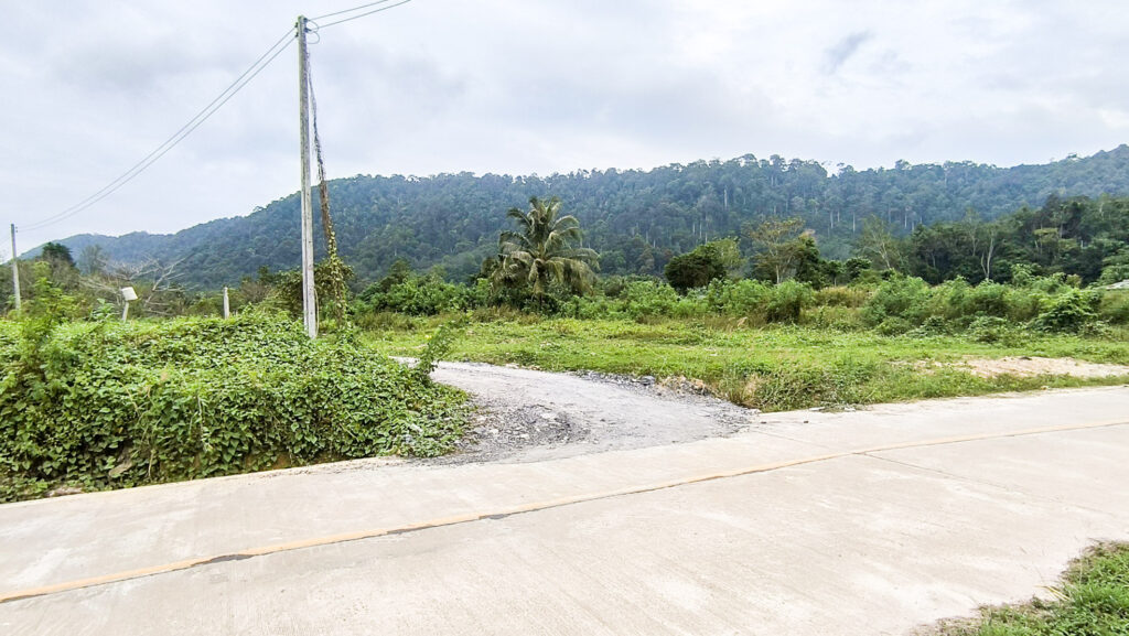 Flat Land for sale Mountain Views koh Lanta