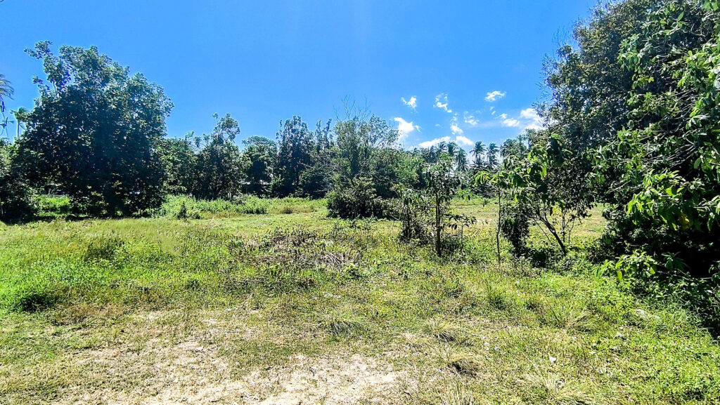 incredible Land for Sale in Koh Lanta