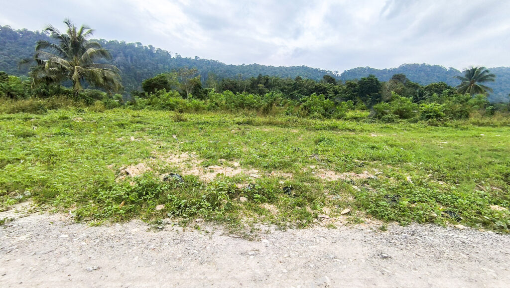 Lanta Land and House for Sale Mountain View for Sale