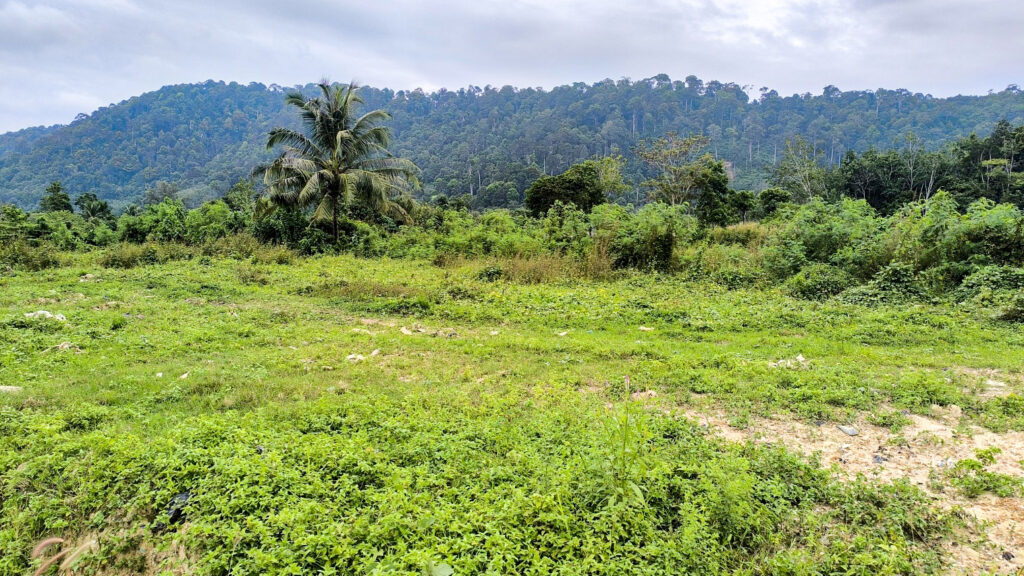 Flat Land for sale Mountain Views koh Lanta