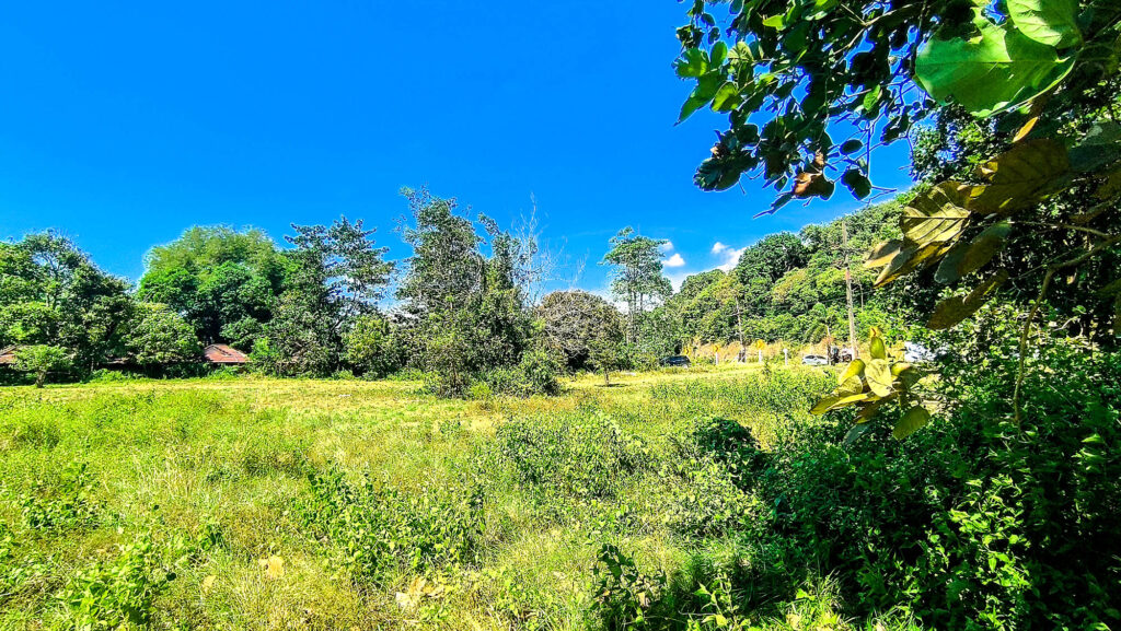 incredible Land for Sale in Koh Lanta