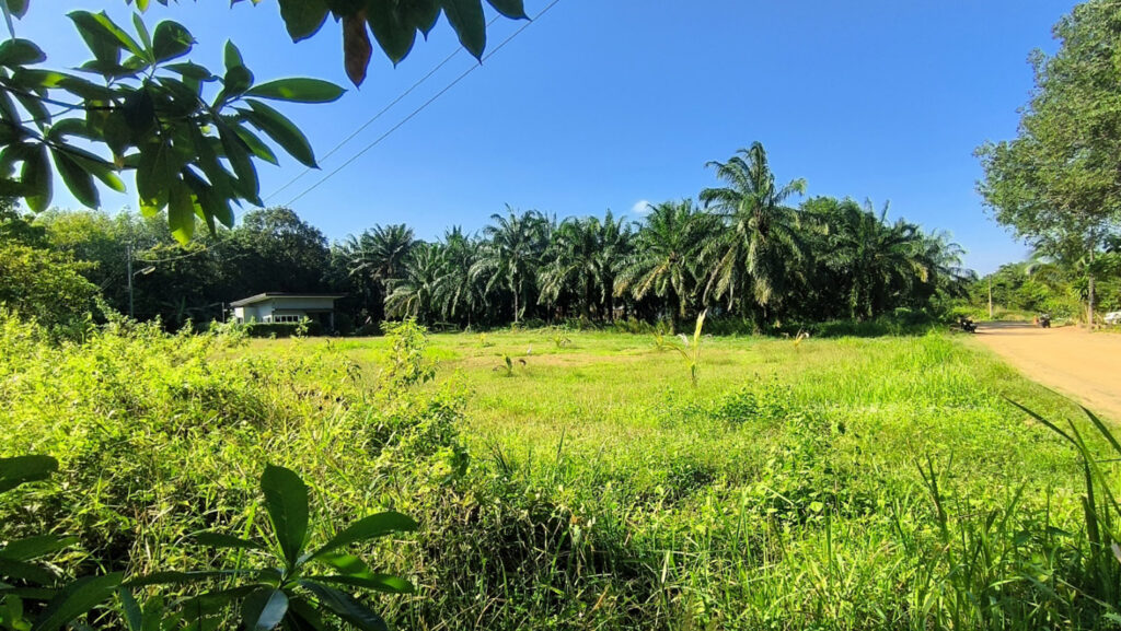 Koh Lanta island real estate - Land for Sale Koh Lanta Krabi