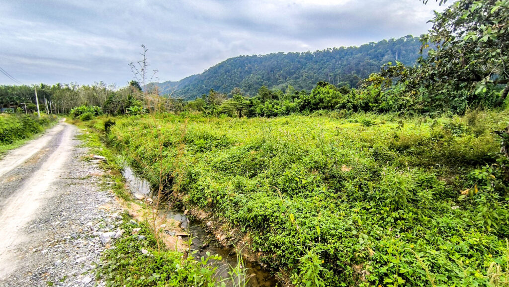 Flat Land for sale Mountain Views koh Lanta