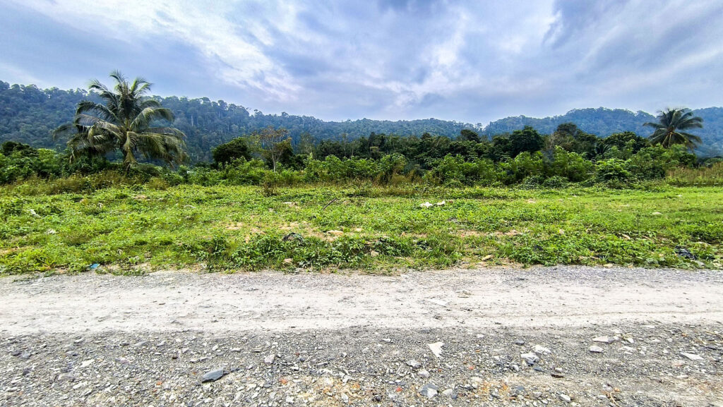 Lanta Land and House for Sale Mountain View for Sale