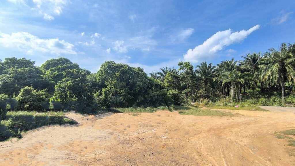 freehold land for sale in Koh Lanta