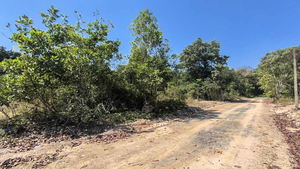 Koh Lanta island property - Land for sale in koh lanta island krabi management