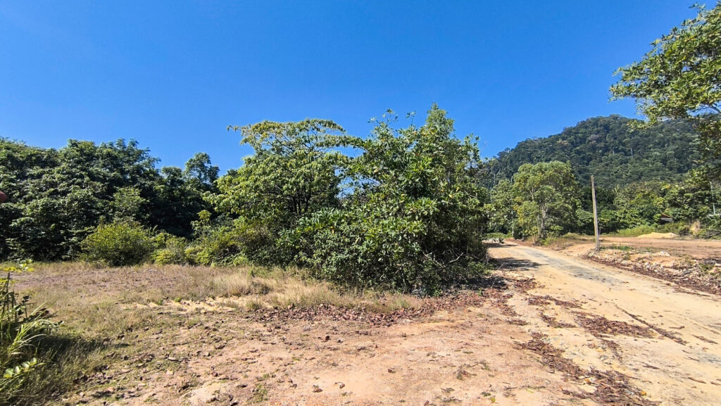 Thung Yee Peng - Land for sale in koh lanta island krabi